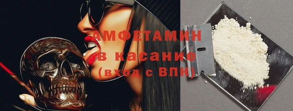 сатива Балахна