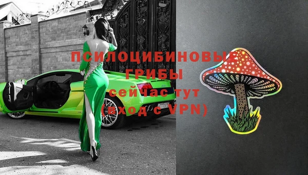 сатива Балахна