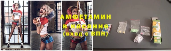сатива Балахна