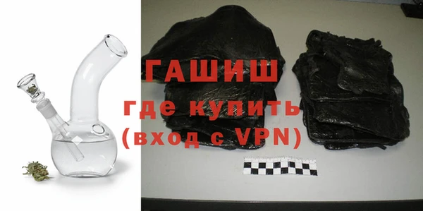 сатива Балахна