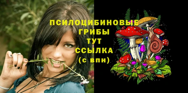бошки Баксан