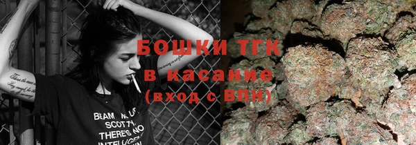 сатива Балахна