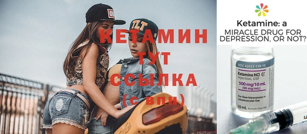 сатива Балахна