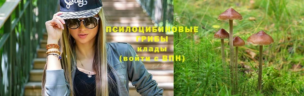 бошки Баксан